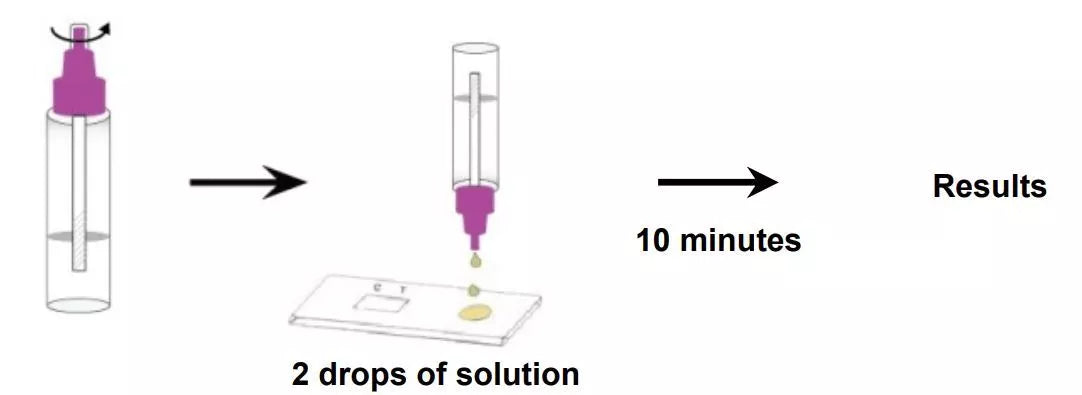 3 x Bowel Cancer Test GP Professional Colon Health Faecal Occult Blood FOB Tests